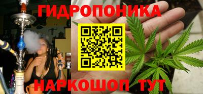 прущие крисы Канаш