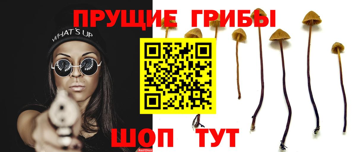 Красноуфимск  Галлюциногенные грибы GOLDEN TEACHER  Вход с VPN 